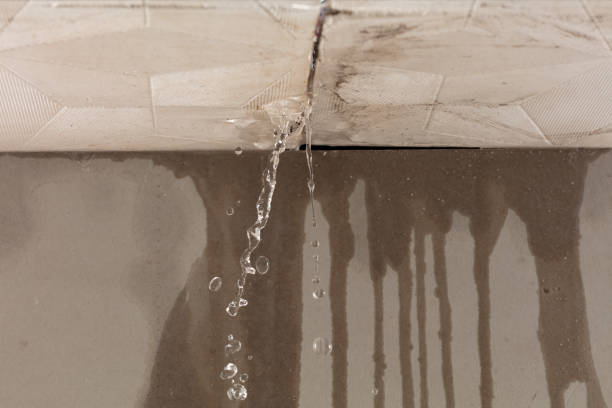 Professional Water Damage Repair technician working in Byron, IL